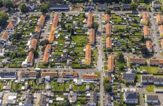 Aerial view, miners' settlement between Pröbstingstraße and Bergstraße with red roofs in the
