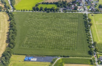 Aerial view, meadows and fields Werver Mark, Schillerstraße and corner Mühlhauser Straße in the