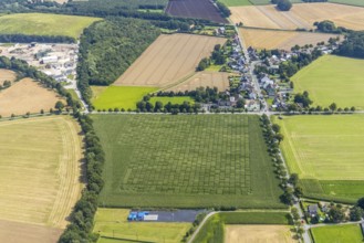 Aerial view, meadows and fields Werver Mark, Schillerstraße and corner Mühlhauser Straße in the