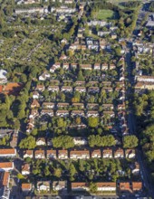 Aerial view, terraced house workers' housing estate Pluto Colliery Hüttenstrasse with trees between