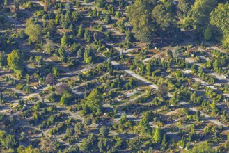 Aerial view, cemetery at Claudiusstraße in the district Wanne in Herne, Ruhr area, North