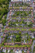 Aerial view, housing estate Hammerschmidtstrasse, Emscherstrasse, Wanne, Herne, Ruhr area, North