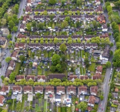 Aerial view, housing estate Hammerschmidtstrasse, Emscherstrasse, Wanne, Herne, Ruhr area, North