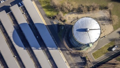 Aerial view, gasometer Herne, industrial area at the Lindenallee, Holsterhausen, Herne, Ruhr area,