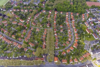 Aerial view, housing estate Gartenstadt Teutoburgia, colliery housing estate, Börnig, Herne, Ruhr