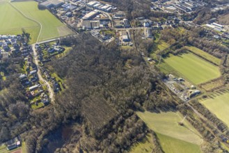 Aerial photo, nature reserve Voßnacken, forest area, Börnig, Herne, Ruhr area, North