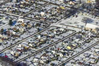 Aerial view, allotment garden association Herne Süd, Riemke, Bochum, Ruhr area, North