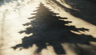 Christmas Tree Shadow: A Decorative Element For Collages And Mockups. Creative Overlay Effect For