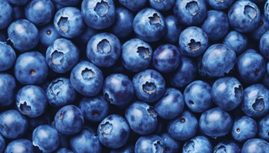 Hand-Drawn Blueberry Pattern: Endless Juicy Blueberries For Healthy Nutrition. Fresh Forest Berries