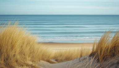 Stunning Tranquil Blue Sea With Waves And Sandy Beach Adorned With Reeds And Dry Grass On Dunes,