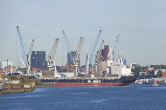 Hansa harbour with ship and skyscrapers of St. Pauli, Veddel, Hamburg, Germany