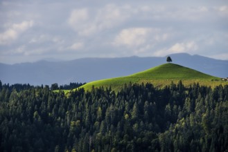 Panorama, view from Lüderenalp, Emmental, Canton Bern, Switzerland