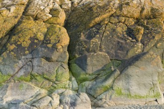 Detail of a colorful rock formation near Mont Saint Michel Abbey in Lower Normandy France