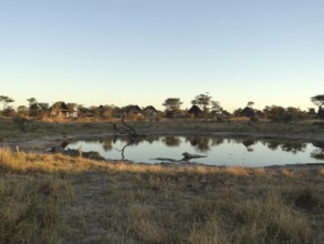 The Elephant Lodge in Botswana at evening time