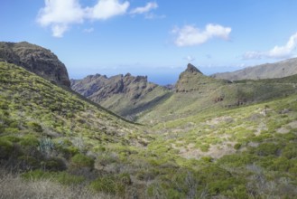 Mountain landscape between masca and Teno at Tenerife, Canary Islands, Spain