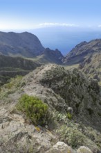 Mountain landscape between masca and Teno at Tenerife, Canary Islands, Spain