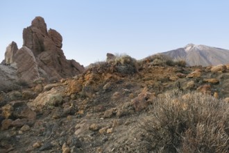 Scenery around Pico del Teide at Teide National Park in Tenerife, Canary Islands, Spain