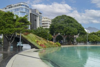 Impression around the Plaza de Espana of Santa Cruz de Tenerife, a city in Tenerife and capital of