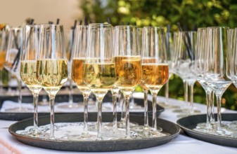 Outdoor garden scenery showing some half filled sparkling wine glasses on a tray