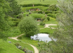 Idyllic scenery at The Shire represented by a region near Matama at the North Island of New Zealand