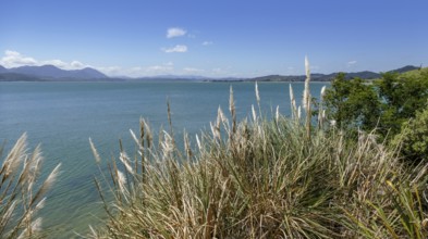 Coastal scenery around Opononi in New Zealand