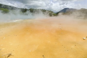 Champagne Pool at a geothermal area named Waiotapu in New Zealand