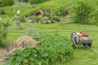 Idyllic scenery at The Shire represented by a region near Matama at the North Island of New Zealand