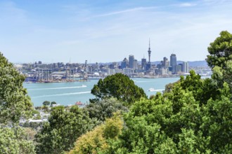 Skyline of Auckland, a large city in the North Island of New Zealand