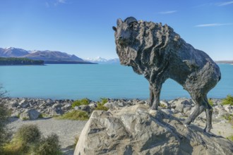Himalayan Tahr statue at Lake Pukaki on the South Island of New Zealand