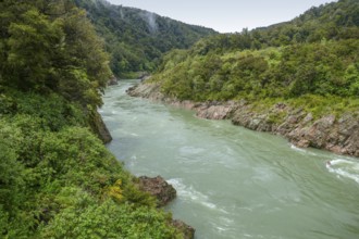 Scenery around the Buller River in the South Island of New Zealand