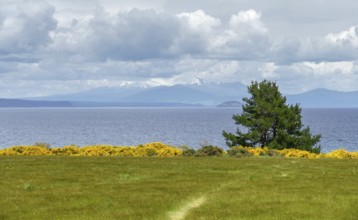 Sunny scenery at Lake Taupo on the North Island of New Zealand