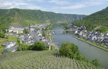 Scenery around Cochem, a town at Moselle river in Rhineland-Palatinate, Germany, at summer time