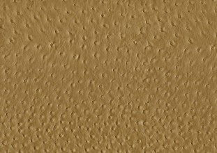 Full frame abstract brown ostrich leather surface