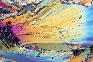 Colorful micro crystals of liqueur in polarized light