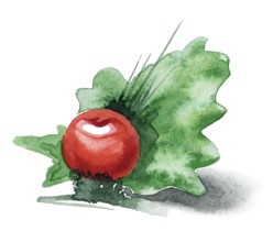 Watercolor illustration showing a vegetarian scenery with green leaf and tomato
