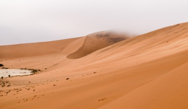 Namib desert scenery around the Sossusvlei area in Namibia