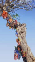 Sunny scsnery including a tree with colorful traditional masks hanging on it, seen in Sri Lanka