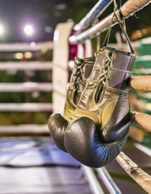 AI generated image showing a boxing scenery with boxing gloves and boxing ring
