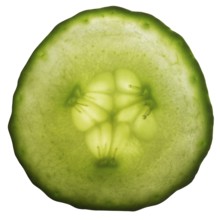 Sliced fresh green gherkin in white back