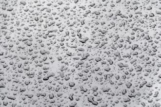Abstract natural background showing a closeup of water beads on glossy repellent ground