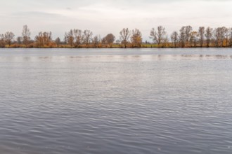 Scenery at Danube river near Regensburg in Bavaria in Germany at autumn time