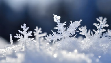 AI generated closeup image showing snow crystals in sunny ambiance