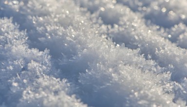 AI generated closeup image showing snow crystals in sunny ambiance