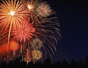 AI generated image showing a great fireworks display and treetop silhouettes in dark back