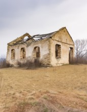AI generated image of an old house ruin in natural ambiance