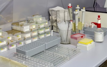 Detail of a workplace for microbiological research