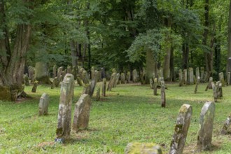 Historic jewish graveyard near Berlichingen in southern Germany