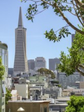 City view of San Francisco, a city in California, USA
