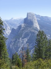 Idyllic view at the Yosemite National Park in California, USA