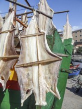 Sunny outdoor scenery showing some dried fish in Madeira